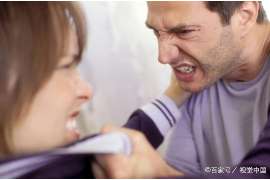 塔城侦探公司