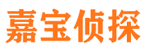 塔城侦探公司